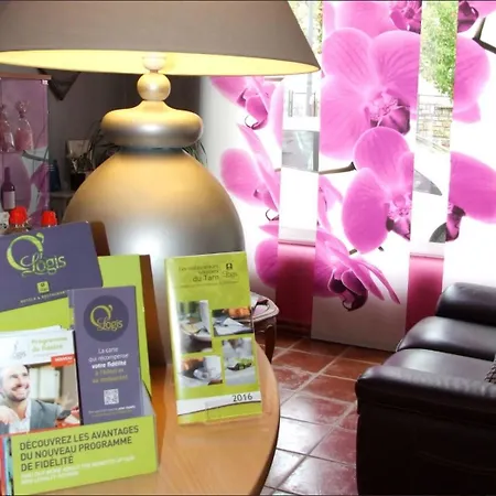 Logis L'occitan 2 Etoiles Gaillac